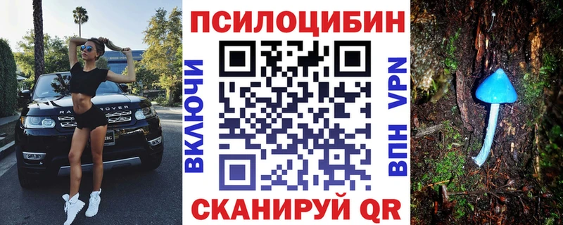 Псилоцибиновые грибы MAGIC MUSHROOMS  Купить  Протвино 